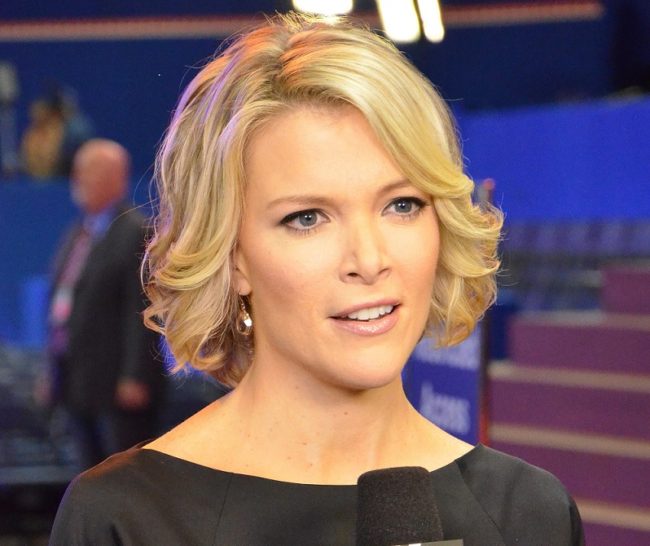 Megyn Kelly Bryan Freedman - Public Domain Image